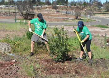 The Arbor Day Foundation