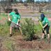 The Arbor Day Foundation