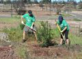 The Arbor Day Foundation