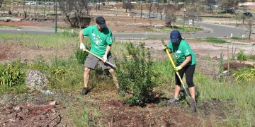 The Arbor Day Foundation