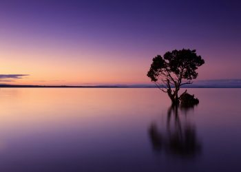 The Water War, conflicts over water