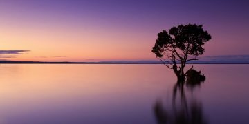 The Water War, conflicts over water